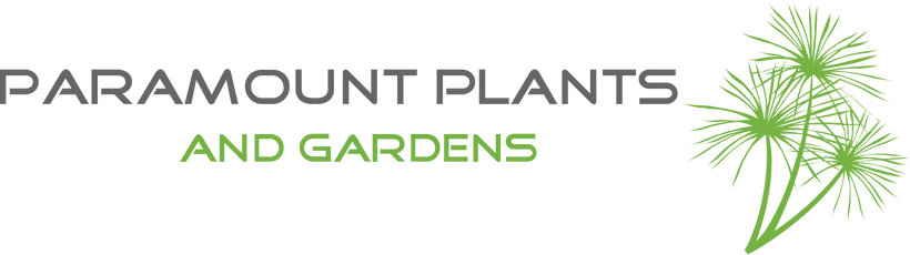  Paramount Plants Discount Codes